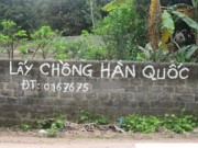  " Nhà quê ra phố "  (58): Buồn man mát