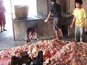 Thị trường - Tiêu dùng - Yêu cầu xác minh thông tin "mỡ bẩn, bì lợn thối" tại Hưng Yên