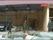 Video An ninh - Bắt giữ 2 lô hàng lậu Trung Quốc trị giá gần 1 tỷ đồng