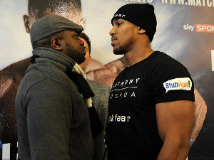 Thể thao - "Kẻ hủy diệt" làng quyền Anh bị thách cược nửa gia tài