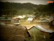 Xác người ở công viên và 2 nhát búa oan nghiệt (Phần 2)