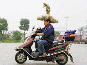 Phi thường - kỳ quặc - Đội tạ cát và một con chó vẫn lái xe "ngon lành"