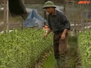 Pháp luật - Phía sau bản án: Đi lên từ quá khứ lầm lỗi