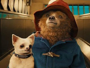 Phim "Gấu Paddington" khiến khán giả Âu - Úc phấn khích