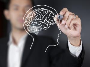 8 điều thú vị có thể bạn chưa biết về bộ não