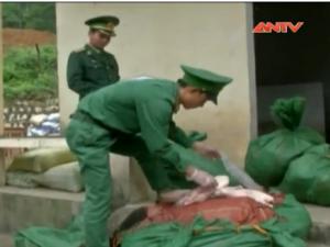 Thị trường - Tiêu dùng - Chặn gần 500kg vịt đông lạnh TQ vào Việt Nam