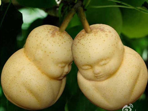 Cười 24h - Những quả dưa lê Hạnh phúc, phụ nữ nên đọc gấp