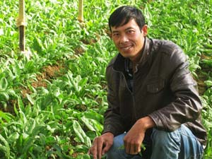 Thị trường - Tiêu dùng - Ông chủ vườn rau tiền tỷ nuôi quyết tâm... "hâm" đến cùng