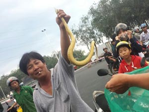 Tin tức trong ngày - Đi xe hơi mang 3 bao tải rắn đổ xuống ruộng