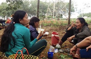 Tin tức trong ngày - Thả rắn ra cộng đồng, tội gì?