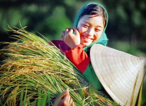 Thơ tình: Gái quê