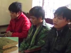 Video An ninh - Phá đường dây tuồn cần sa từ Lào về Việt Nam