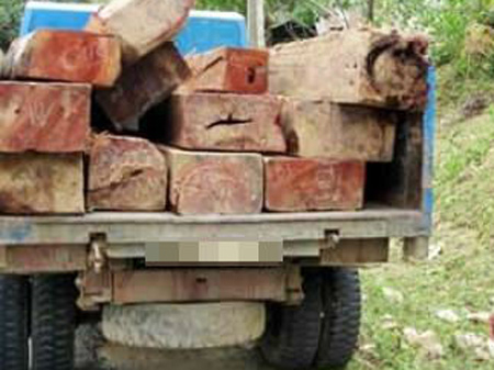 Pháp luật - Lâm tặc lái xe tải đâm chết kiểm lâm