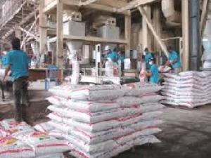 Thị trường - Tiêu dùng - Giá thức ăn chăn nuôi Việt Nam cao hơn thế giới 20%