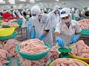 Thị trường - Tiêu dùng - Cần Thơ: DN top 10 xuất khẩu thủy sản tuyên bố đóng cửa