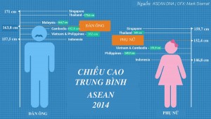 Tin tức trong ngày - Chiều cao người Việt xếp gần áp chót khu vực ASEAN