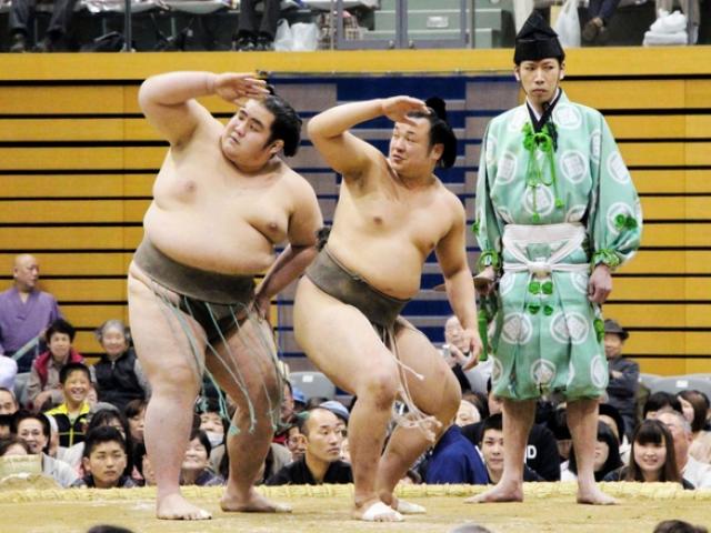 Thể thao - Sumo hài: Võ sĩ thành "kịch sĩ"
