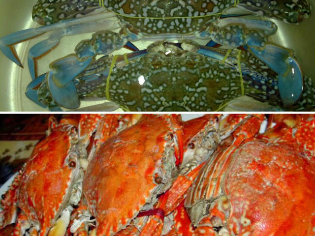 Bạn trẻ - Cuộc sống - "Chết cười" với trào lưu "hỏi ngu" của cộng đồng mạng