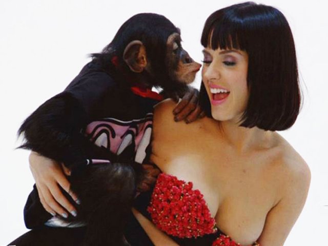 Cười 24h - Chị em "hoang mang" vì bị động vật "sàm sỡ"