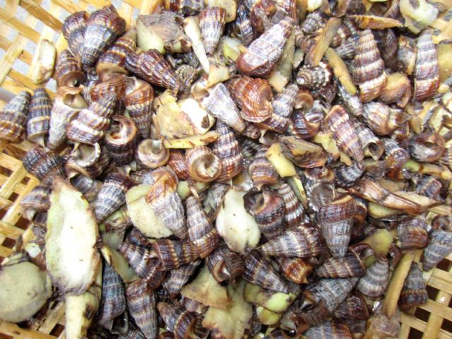 Ẩm thực - Ấm nồng với món ốc len luộc riềng