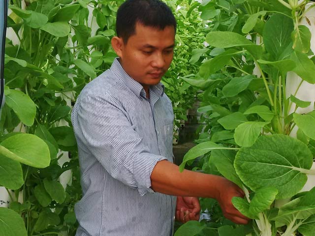 Tài chính - Bất động sản - Gã "khùng" 8X vay tiền “xã hội đen” đầu tư… trồng rau sạch