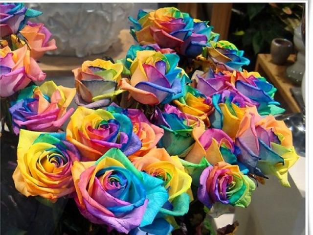 Tình yêu - Giới tính - Những loại hoa hồng khiến mọi phụ nữ ''thèm muốn"