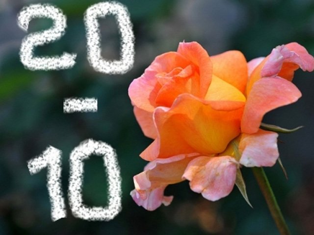 Cười 24h - Thêm những lời chúc 20/10 của năm 2015