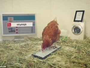 Tài chính - Bất động sản - Sốc: Chó, mèo &quot;nhảy&quot; lên làm giám đốc