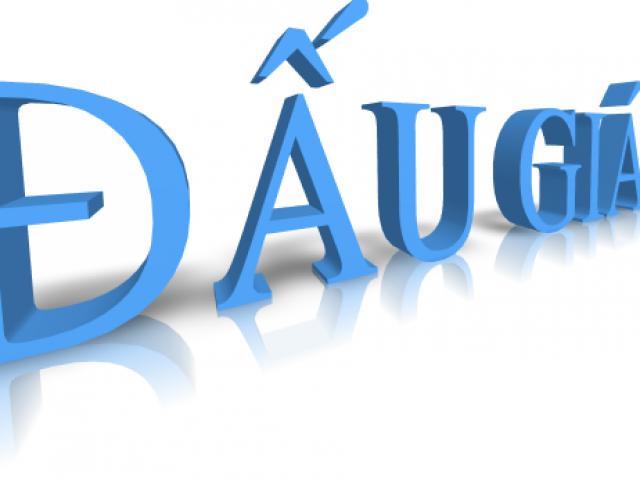 Thị trường - Tiêu dùng - Sẽ kiểm tra hàng trăm doanh nghiệp bán đấu giá