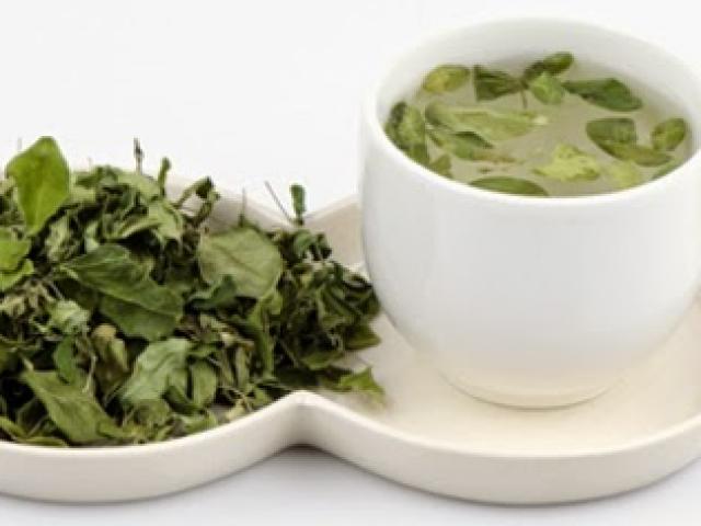 Sức khoẻ sinh sản - Sự thật những loại "thần dược phòng the" kỳ lạ trong thiên nhiên