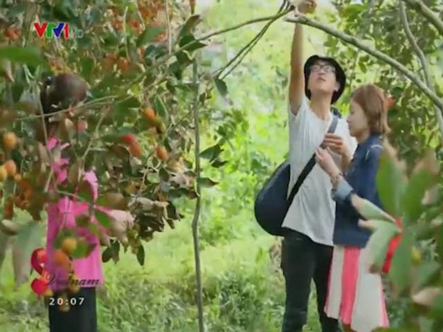 Du lịch Việt Nam - Chợ Lách "vương quốc" của hoa thơm, trái ngọt