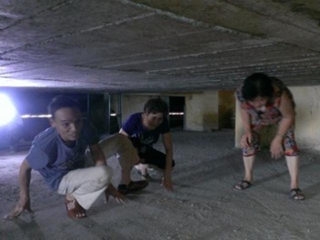 Tin tức trong ngày - Hà Nội: Đi thang máy... phải bò