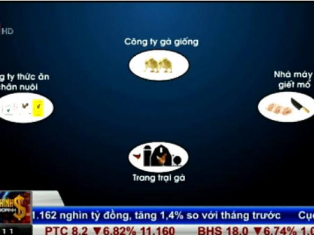 Bản tin tài chính kinh doanh 27/10: Liên hết theo chuỗi trong chăn nuôi gia cầm