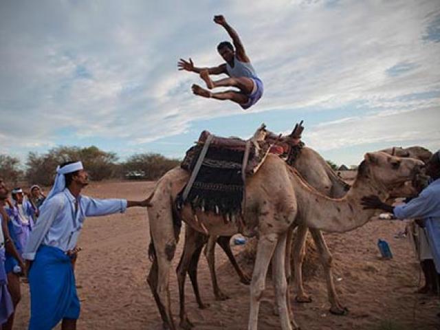 Thể thao - Nhảy qua lưng lạc đà, môn thể thao "dị" của Yemen
