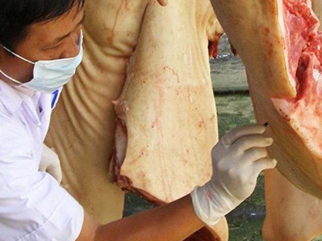 Thị trường - Tiêu dùng - Heo, gà “dính” kháng sinh ra chợ