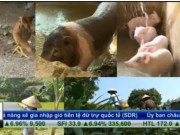 Tài chính - Bất động sản - Bản tin tài chính kinh doanh 27/10: &quot;Chỉ muốn nghèo mãi thôi&quot;