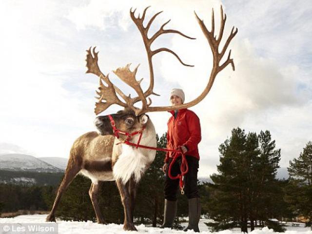 Phi thường - kỳ quặc - 5 loài động vật có cặp sừng đáng sợ nhất