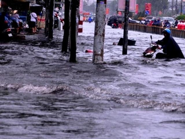 Tin tức trong ngày - TP.HCM: Đào đường quy mô lớn trong thời gian tới