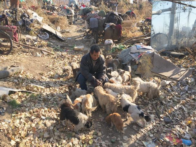 Thế giới - TQ: Ông lão vô gia cư sống cùng 40 chú chó hoang