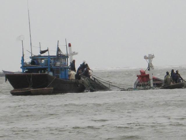 Tin tức trong ngày - Cứu sống 4 ngư dân bị chìm tàu trên biển