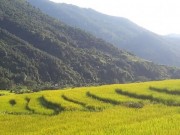 Du lịch - Ngỡ ngàng &quot;Sa Pa ở Quảng Ninh&quot;