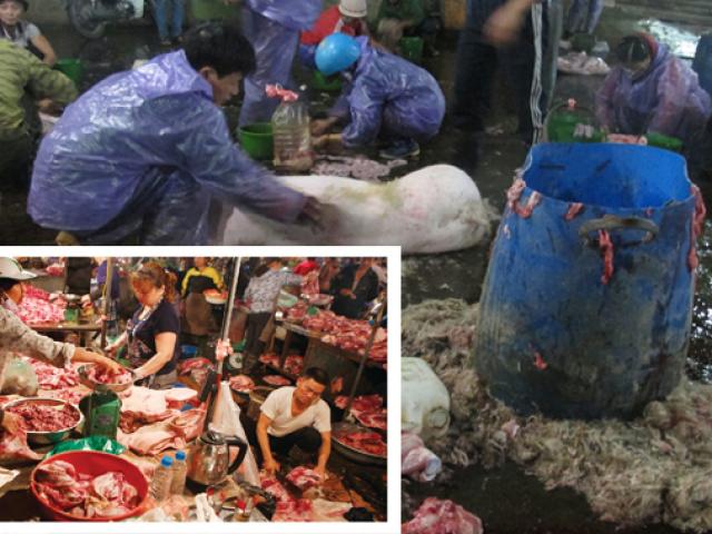 Tin tức trong ngày - Cơ hội nào cho thực phẩm sạch: Rùng mình lò mổ tự phát