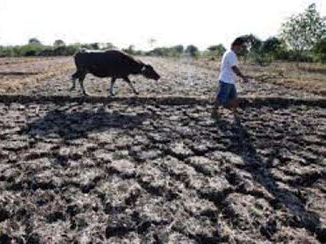 Tin tức trong ngày - Lo ngại nhiều nước xây hồ chứa sẽ ảnh hưởng đến VN