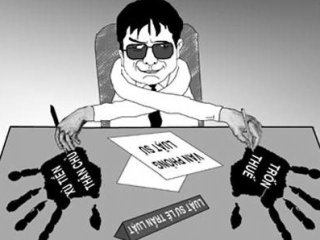 Video An ninh - Khởi tố 3 công ty xăng dầu trốn thuế 6 tỷ đồng