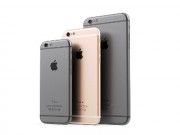 Dế sắp ra lò - iPhone màn hình 4 inch, giá rẻ ra mắt năm tới