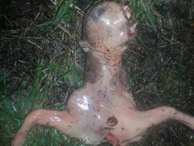 Phi thường - kỳ quặc - Nước Mỹ lại xôn xao vì "quái vật ngoài hành tinh"