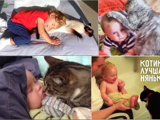 Bạn trẻ - Cuộc sống - Khoảnh khắc "âu yếm" ngọt lịm của bé và mèo cưng