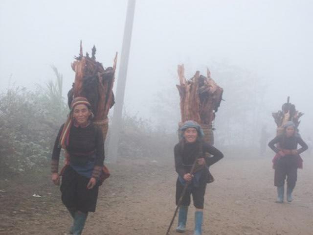 Tin tức trong ngày - Đón không khí lạnh, miền Bắc có nơi rét 10-12 độ C