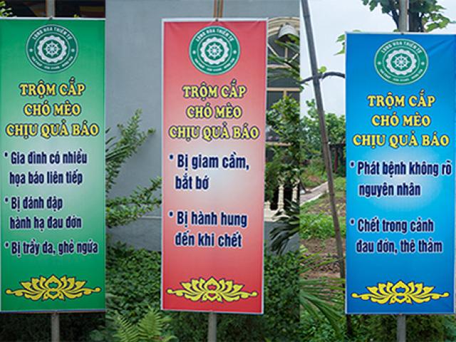 Tin tức trong ngày - Giật mình biển “trộm chó mèo bị quả báo” treo ở chùa