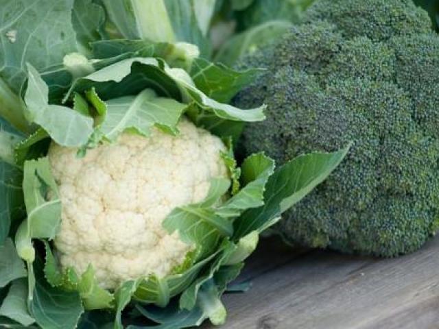 Sức khỏe đời sống - Những điều cần tránh khi ăn rau súp lơ